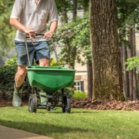 Lawn Fertilisers